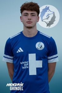 Hendrik_Grindel