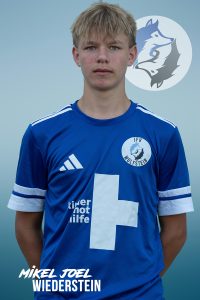 Mikel_Joel_Wiederstein